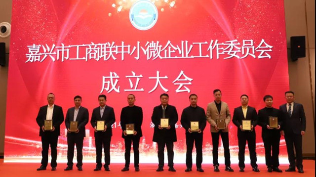 嘉興市工商聯(lián)中小微企業(yè)工作委員會(huì)成立，我司當(dāng)選副主任委員