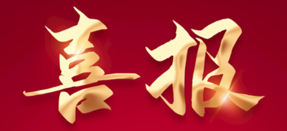 公司總經(jīng)理呂娜娜榮獲浙江省湖北籍“優(yōu)秀青年企業(yè)家”稱號